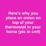 The Science of Smudging: This Is What Sage Does to Bacteria in the Air