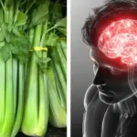 Rice works wonder on orchids, esp if they aren’t blooming. Here’s why and how