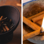 Never Throw Leaves of These 8 Plants! They’ll Grow!