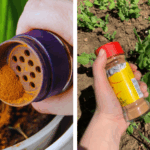 Why Gardeners Are Keeping Clover in Their Lawns Instead of Removing It