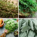 Crush Leaves of These 11 Plants and Smell For Unbelievable Benefits