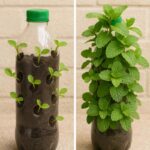 10 most toxic items in your kitchen. Here’s why