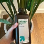 10 houseplant tips you should stop believing 