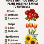 Can’t believe I’ve been doing this wrong this entire time