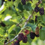 10 bizarre winter hacks that actually work