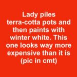 The Healing Power of Trees: How Barefoot Grounding Restores Mind and Body