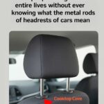 Most are clueless. What to eat when you feel