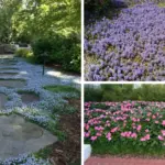 You are doing it all wrong. Here’s the right way to use your dryer