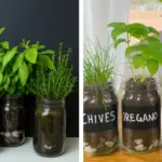 Peace Lilies vs. Mold: Why Bathrooms and Laundry Rooms Need This Plant