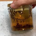 Why You Should Bake Eggshells and Their Uses in the Garden