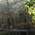 What psychology reveals when someone helps the waiter clear the table