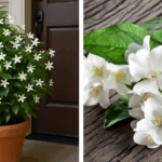 Keep a Cup of Salt in Damp Rooms – It Absorbs Moisture and Prevents Mold Naturally