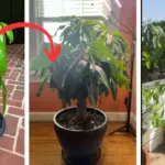 Don’t throw out empty plastic bottles. Here are 10 brilliant ways to re-use them