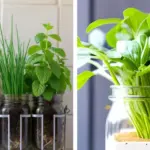 8 Reasons To Create Your Own Herb Spiral + How To Build One