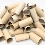 12 Best Flowers & Vegetables to Plant In October