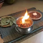 How to Plant a Lemon in a Cup: A Natural Way to Purify Air and Lift Your Mood