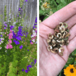 Didn’t realize you could do this