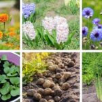 Don’t ignore these trays from Goodwill. Here are 10 nifty ideas to reuse them