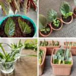 Burn a Cinnamon Stick in Your Home – Here’s the Ancient Reason Why