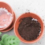 Why Gardeners Are Putting Two Nails in Their Pots – The Results Are Amazing