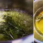 When Squeezing Lemons, Don’t Discard the Seeds—They’re Very Valuable!