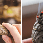 Burning Rosemary in Your Home Does More Than Smell Good – Here’s Why