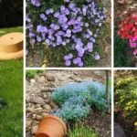 Cinnamon in the Garden: Which Plants Love It (and How to Apply It the Right Way)