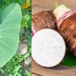 When Shame Turned to Support: A Family’s Journey to Understanding