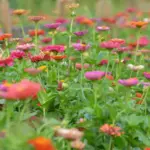 8 Clever Gardening Hacks For a Beautiful and Successful Garden