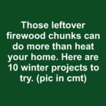 Here’s why feeding plants in winter often backfires even though many people swear by it