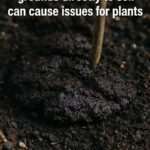 Here’s why bare winter soil loses nutrients and structure faster than you think