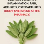 The Best-Kept Secret to Creamy, Gourmet Mashed Potatoes (It’s NOT milk!)