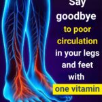 What are the effects of unsweetened coffee on the brain and body, according to science?