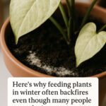 Those leftover firewood chunks can do more than heat your home. Here are 10 winter projects to try.