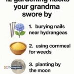 How to crochet 7 gorgeous different flowers