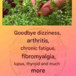 “Hey, you sickly little dog! I’ve already filed the divorce papers. Be out of my house tomorrow!” my husband said without hesitation. What he didn’t know about my $1.5 million income would bring him back three days later…