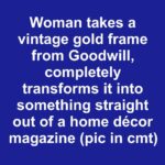 How to Trim a Christmas Cactus Without Damaging Next Year’s Blooms