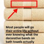 A musty smell keeps drifting from my hallway closet, and my contractor is out of town until January. What can I rule out myself?