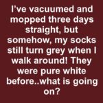 Cracked terracotta still has purpose. Here are 10 winter-friendly ways to reuse it outdoors.