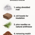 My aunt taught me this trick to remove whitefly clouds in just 1 min with 0 effort. Here’s how it works