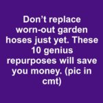 Plant asparagus once and harvest for decades with these 12 tips