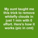 10 strange mulch hacks every winter gardener should know