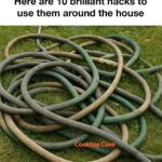 You are doing it all wrong. Here’s the right way to clean your coffee maker