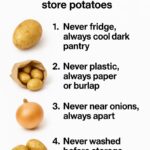 Beetroot Has Unbelievable Power: It Can Help Treat These 12 Diseases