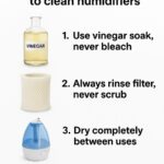 You’re doing it all wrong. Here’s the right way to keep indoor air fresh in winter