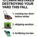 Don’t discard broken stepping stones. Here are 10 beautiful projects you can make with them.