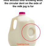 Don’t get rid of old tree stumps. Here are 10 brilliant ways to re-use them in your garden