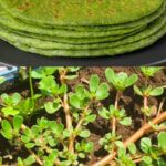 Protect Your Eyes: 3 Seeds + 1 Fruit for Seniors