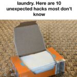 My grandma taught me this trick to kick out cabbage worms in just 3 mins with 0 effort. Here’s how it works