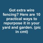 My gardener friend taught me this trick to flush out root gnats in just 1 min with 0 effort. Here’s how it works